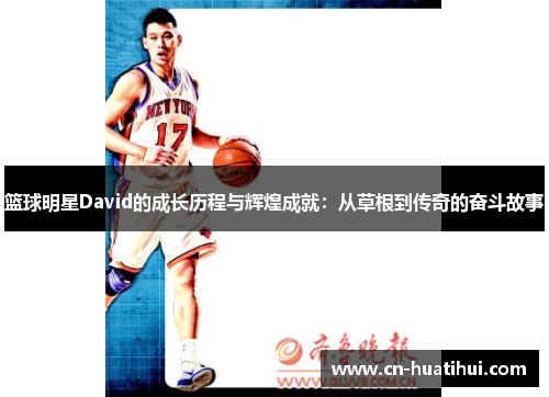 篮球明星David的成长历程与辉煌成就：从草根到传奇的奋斗故事